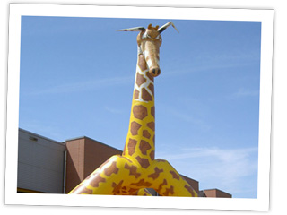 Giraffe